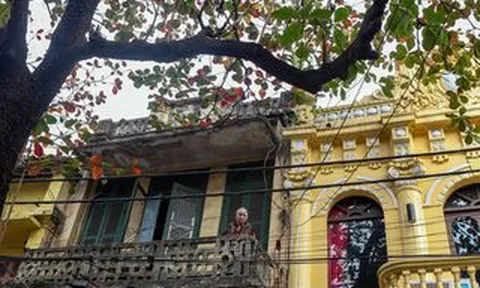 Khoảnh khắc Hà Nội trong mùa đẹp nhất năm
